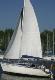 Tango 780 FS - WIELKI B�EKIT